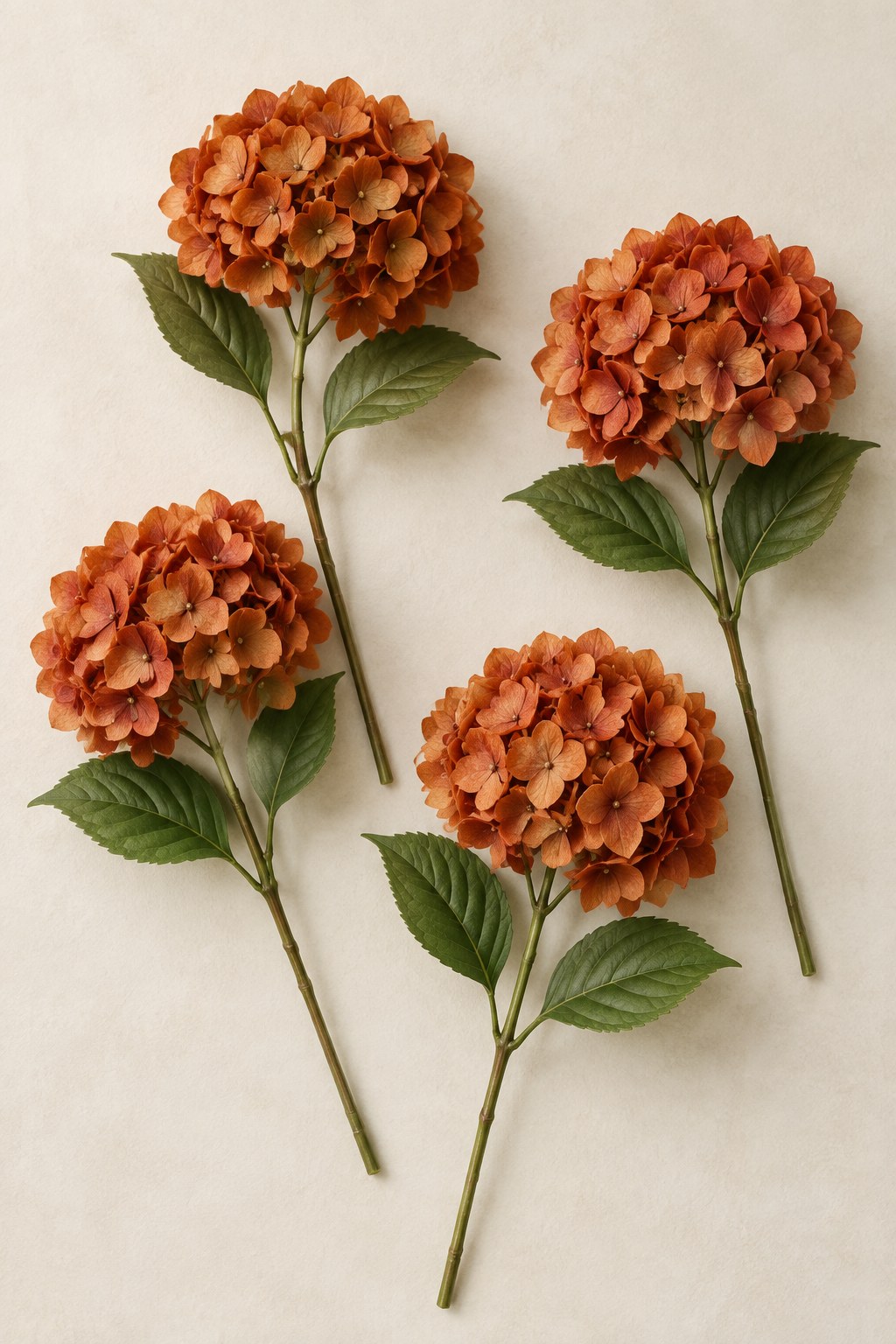 Styled illustration of four burnt-orange hydrangea stems; see Amazon for the actual mizii set